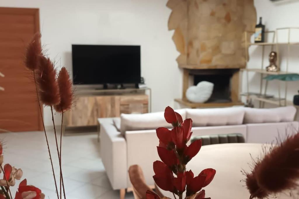 Casa Vacanza Fiera Di Roma 蓬特加莱里亚 外观 照片
