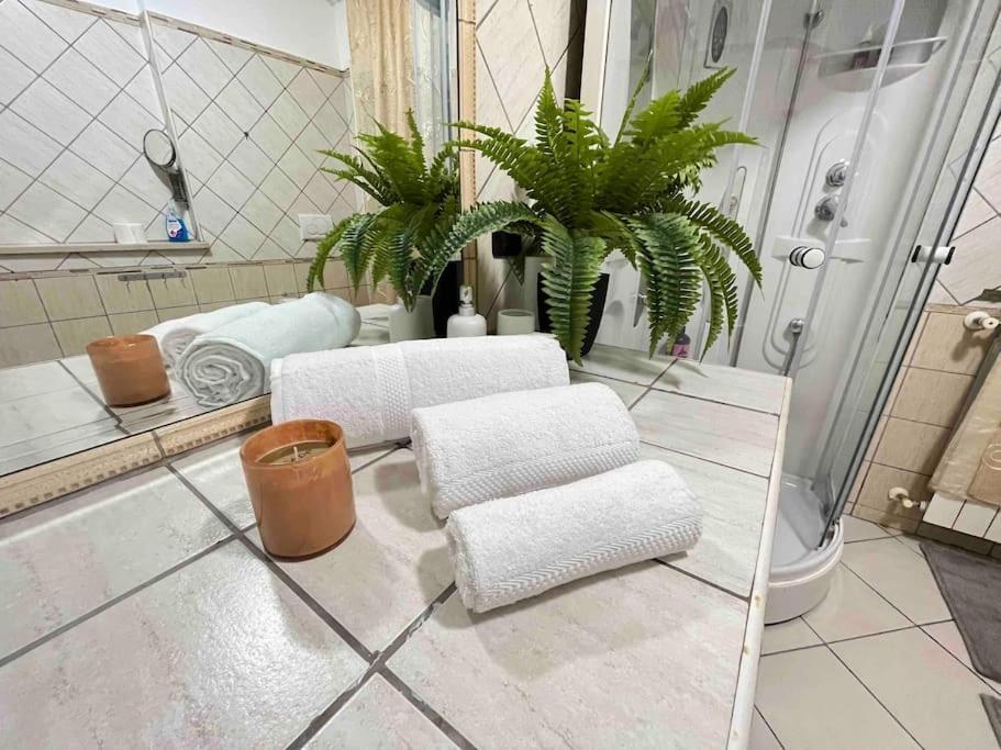 Casa Vacanza Fiera Di Roma 蓬特加莱里亚 外观 照片